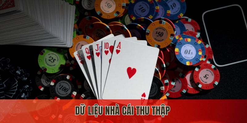 Dữ liệu nhà cái thu thập