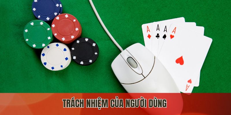 Trách nhiệm của người dùng